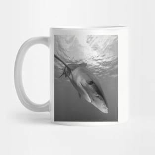 Inquisitive White Tip Shark Mug